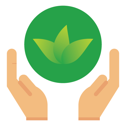 Your Health & Wellness Matter